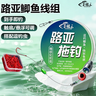 路亚可调逗线组拖钓正品到手即钓秋冬季路亚鲫鱼钓组套装钓组鲤鱼