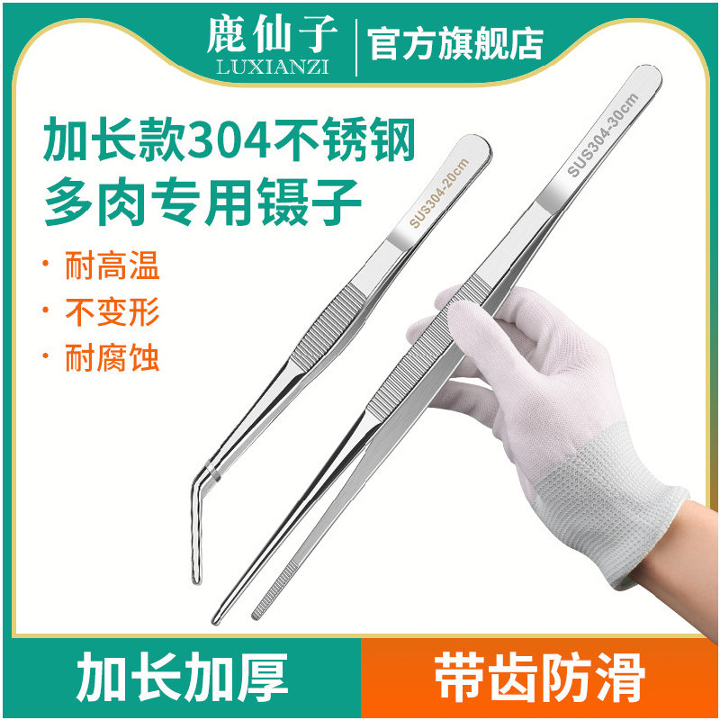 鹿仙子多肉夹子镊子园艺养花专用工具长植物枯叶夹不锈钢种花修花