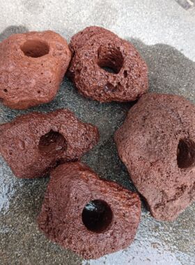 红色带孔天然定植环鱼缸龟缸水草固定种植造景装饰水草底座