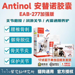 安替诺Antinol277髌骨脱位软骨素猫狗宠物关节强炎腰椎骨刺安它诺