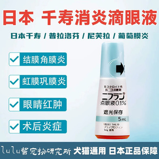 日版 千寿普拉洛分葡萄膜炎宠物滴眼液猫狗尼芙拉虹膜炎消炎眼药水