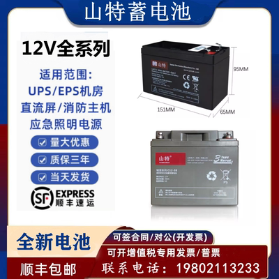 山特12V城堡系列铅酸免维护蓄电池C12-38 65 100 120 150 200AH