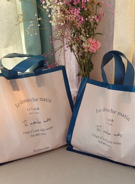 小众ins风礼品袋少女系夏日主题塑料手提袋服装袋服装店袋子定制