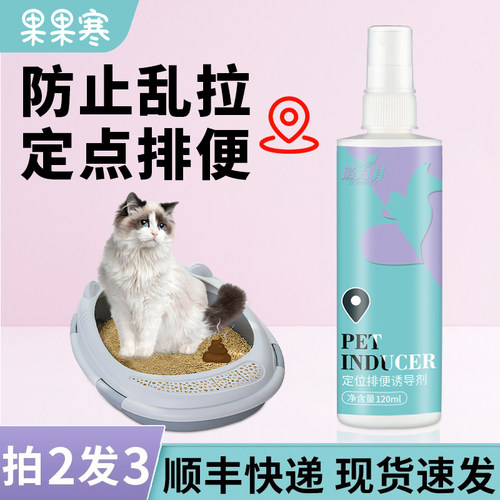 猫咪定点排便防止乱尿