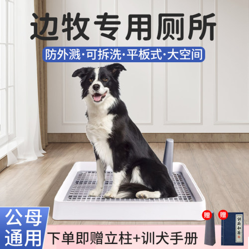 边牧专用定点狗厕所神器