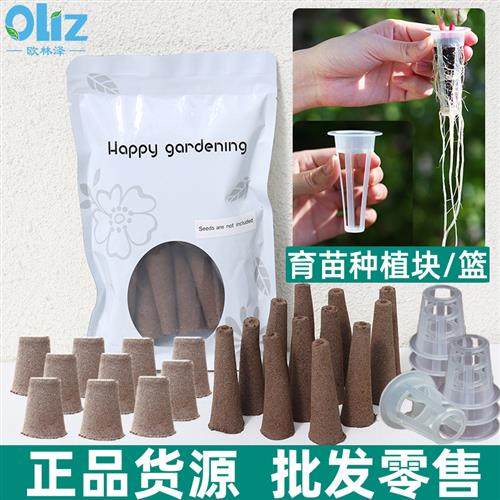 多肉植物播种盒扦插神器无土栽培育苗块熟料育苗盒水培穴盘保温箱,鲜花速递/花卉仿真/绿植园艺,育苗盘/营养钵,淘宝优惠券,粉丝福利购,淘宝优惠卷