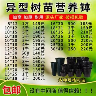 营养钵加厚塑料育苗袋果树苗柑橘杯育苗盆一次性营养杯种植袋花盆