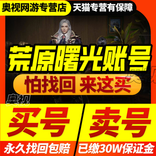 荒原曙光手游成品号账号坐骑宠物多阶霸服翅膀双绝世买卖游戏帐号