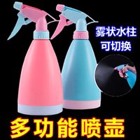 家用消毒噴水壺澆水壺手壓式園藝小噴壺灑水壺澆花多肉植物噴霧壺