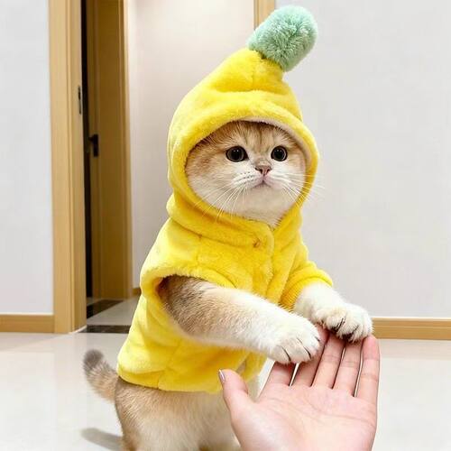 秋冬猫咪保暖带帽防寒衣服