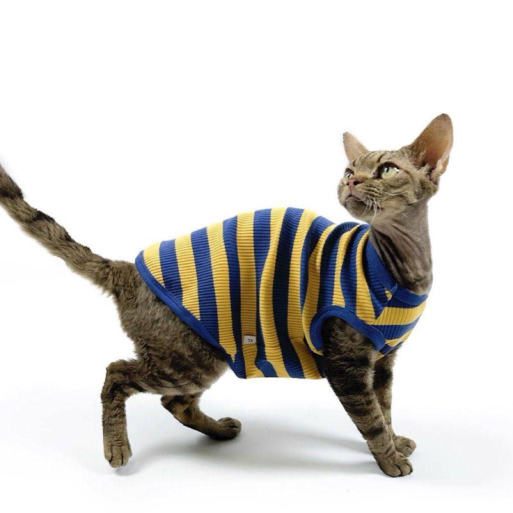 无毛猫衣服斯芬克斯德文高弹舒适凉爽亲肤背心针织冬季无袖保暖,宠物/宠物食品及用品,猫宠物服装/雨衣（新）,淘宝优惠券,粉丝福利购,淘宝优惠卷