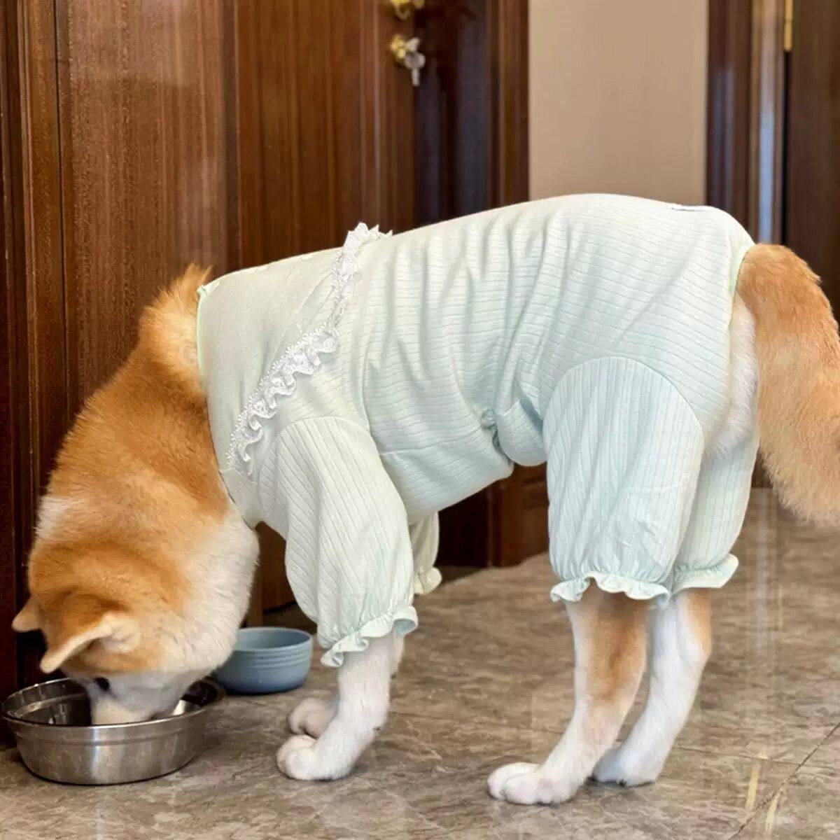 大狗衣服夏季款金毛秋田拉布拉多中大型犬狗狗防掉毛四脚衣服装潮