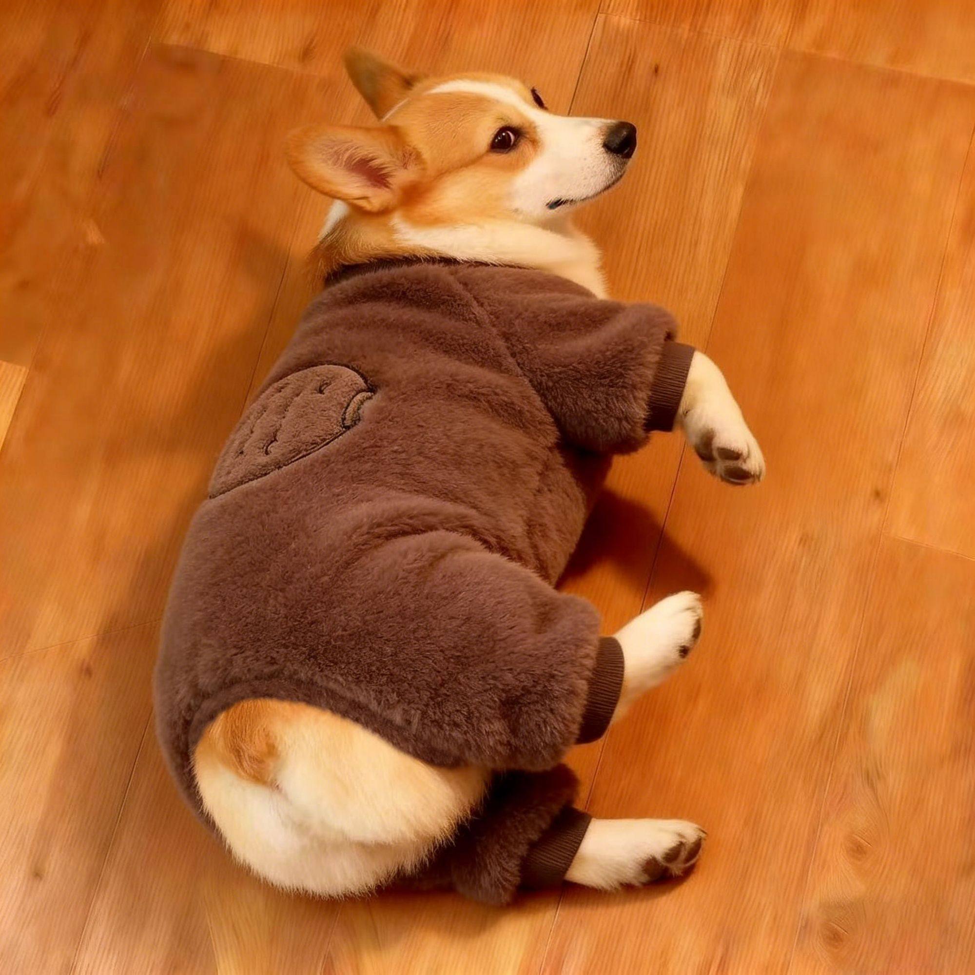 狗狗秋冬毛绒卡通鱼图案保暖四脚衣四脚衣中型犬柯基法斗柴犬巴哥,宠物/宠物食品及用品,狗宠物服装/雨衣,淘宝优惠券,粉丝福利购,淘宝优惠卷