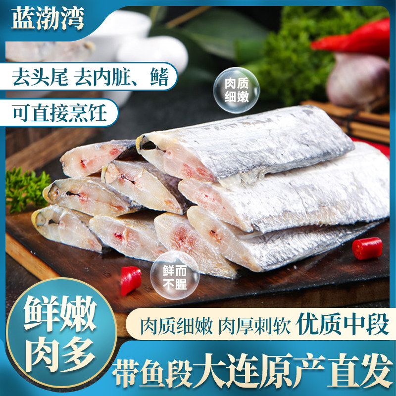 渤海带鱼段带鱼蓝渤湾渤海特大