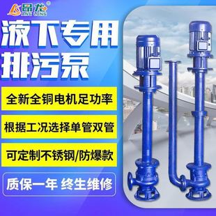 不阻塞液下双管排污泵 立式 高温液下泵 液下款 排污泵长轴污水泵