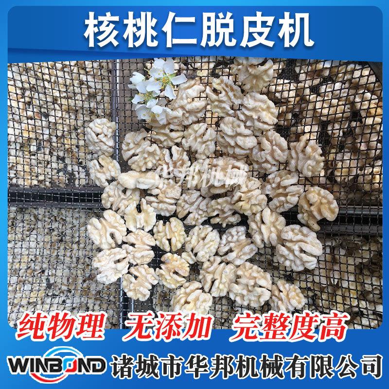 核桃仁不锈钢清洗去皮机 核桃露清洗去皮设备 纯物理去皮设备