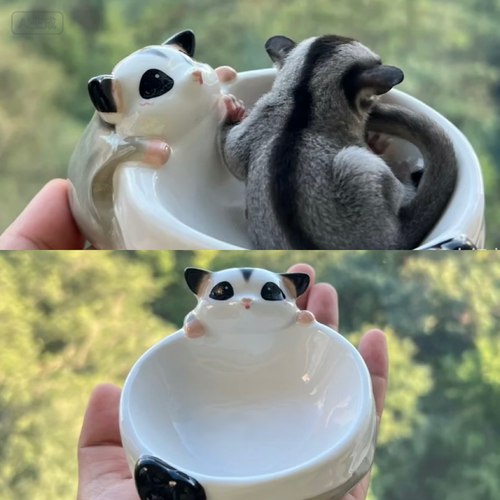 蜜袋鼯奶碗40ml可定制名字