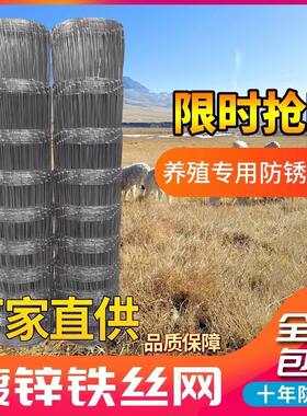 热镀锌铁丝网防锈牛栏网圈地钢丝网拦牛羊果园防护网养殖网围栏网