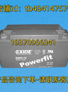 EXIDE蓄电池 EXIDE ES65-12 1200 POWERFIA 12VOLT 65AH 12V 电池
