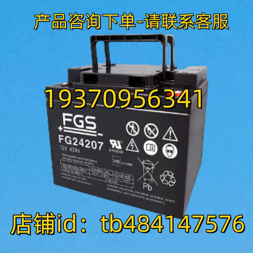 FGS蓄电池 FGS FG24207 12V 42AH FIAMM 非凡 电池