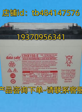 DATA SAFE 蓄电池 DATASAFE HX 12HX150-E 12V 147W CELL 15MIN