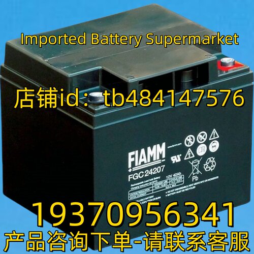 FIAMM 蓄电池 FIAMM FGC24207 12V 42AH BATTERY 非凡电池