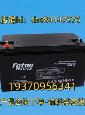 FOTON蓄电池 FOTON PRO-CYCLE FD12-65 12V65AH/10HR 25°c 电池