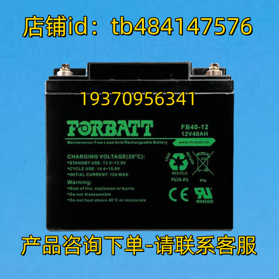 FORBATT蓄电池 FORBATT FB40-12 12V40AH 电池