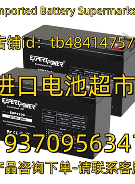 EXPERTPOWER蓄电池 EXP1290 12V9AH/20HR 应急电源 医疗设备电池