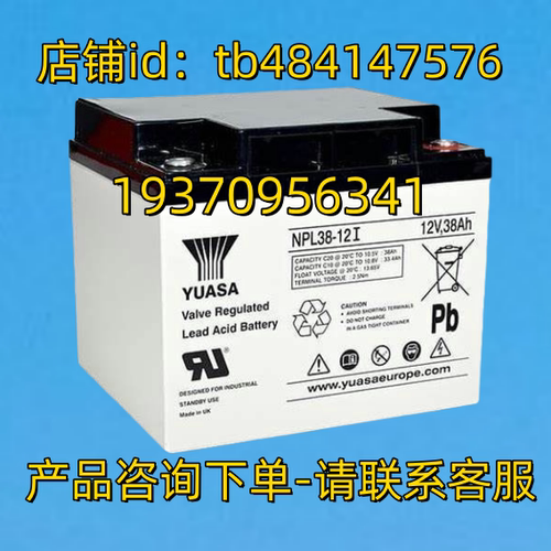 YUASA蓄电池 YUASA NPL38-12I 12V 38AH 电池