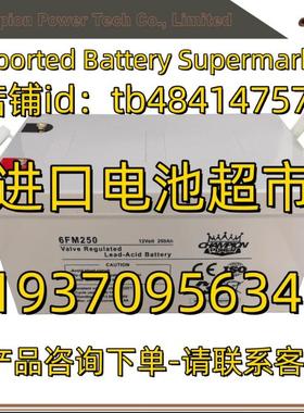 CHAMPION POWER蓄电池 6FM250 12V Volt 250AH 太阳能逆变器电池