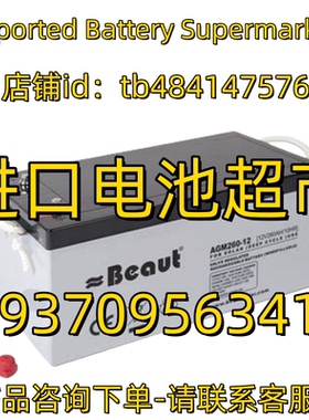 Beaut蓄电池AGM260-12 200 150 120 80 70 40 12V 100AH/20HR电池