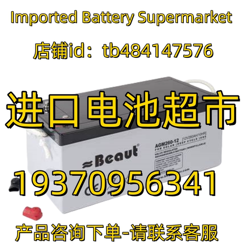 Beaut蓄电池AGM260-12 200 150 120 80 70 40 12V 100AH/20HR电池