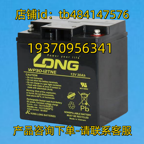 KUNG LONG BATTERIES蓄电池 WP30-12TNE 12V 30AH 电池