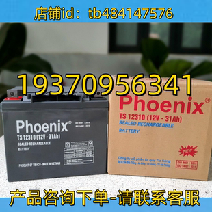 phoenix 31AH battery 12V 电池 TS12310 phoenix蓄电池