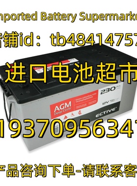 ECTIVE蓄电池AGM DC290 230 200 170 150 135 12V100AH 应急电池