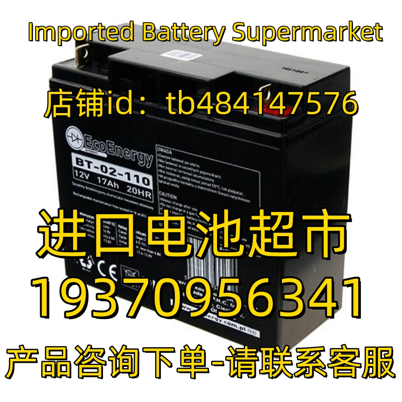 ECOENERGY蓄电池 BT-02-110 12V17AH 20HR 免维护电池