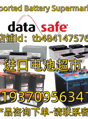 原装进口datasafe蓄电池 12HX135 NPX-100FR 12V 6V船舶 医疗电池