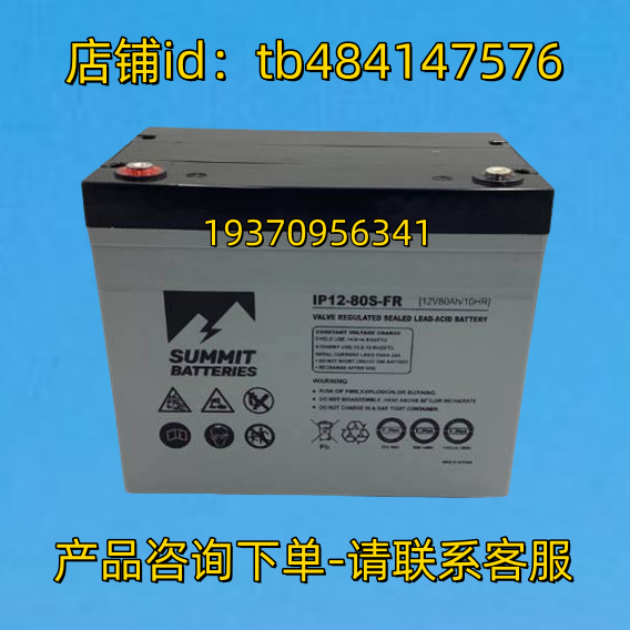 SUMMIT BATTERIES 蓄电池 SUMMIT IP12-80S-FR 12V80AH/10HR 电池