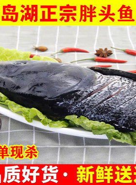 千岛湖正宗花莲胖头鱼大头胖头鱼生态鱼整条鱼头淡水鱼冷水鱼正宗