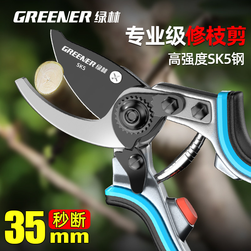 绿林修枝剪剪树枝专用剪刀果树花剪盆栽园艺剪刀省力粗枝园林剪