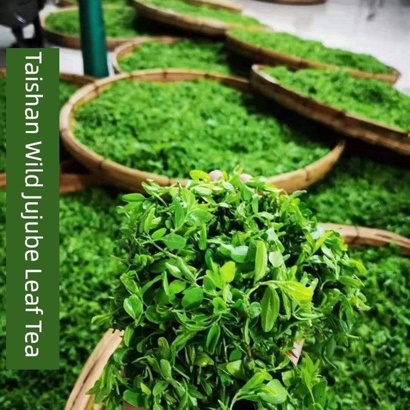 泰山野生酸枣叶茶野生酸枣芽茶山枣叶茶J2022纯天然酸枣仁叶茶