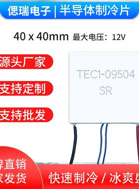 TEC1-09504半导体制冷片帕尔贴40*40mm12V致冷片带探头