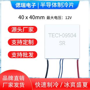 TEC1-09504半导体制冷片帕尔贴40*40mm12V致冷片带探头