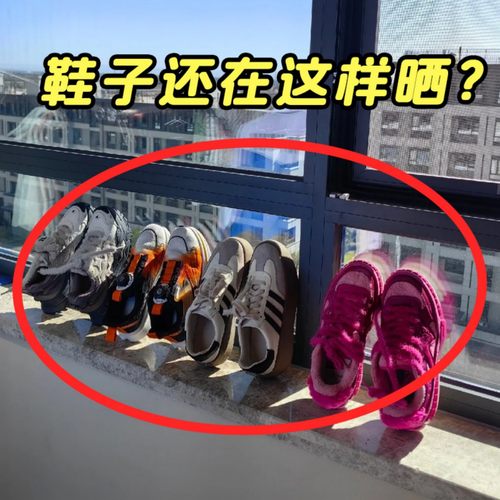 免打孔晾鞋架可折叠吸盘晾晒架