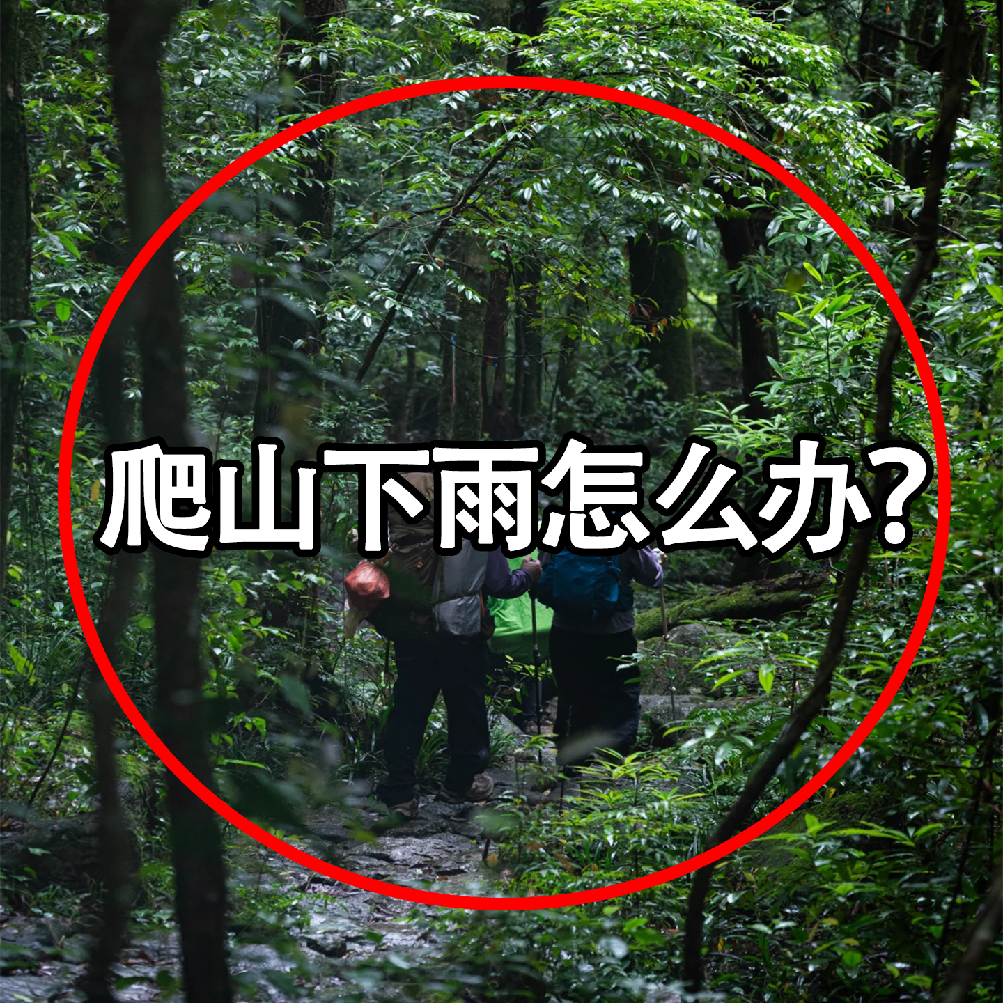 一次性雨衣成人长款全身防暴雨男女加厚儿童外穿户外洗漱包化妆包