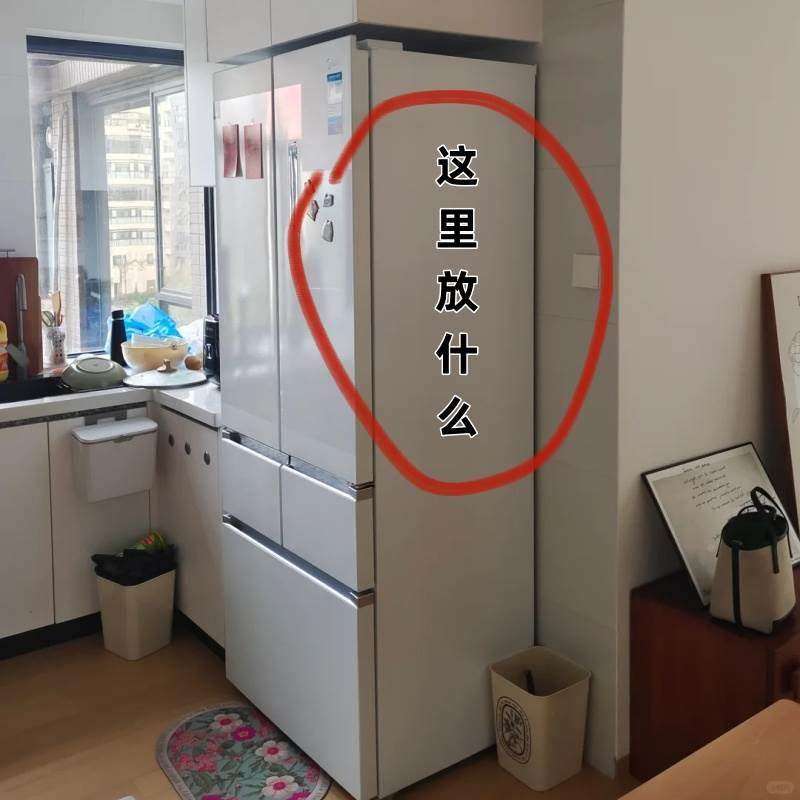 【这里放什么？】微波炉清洁器