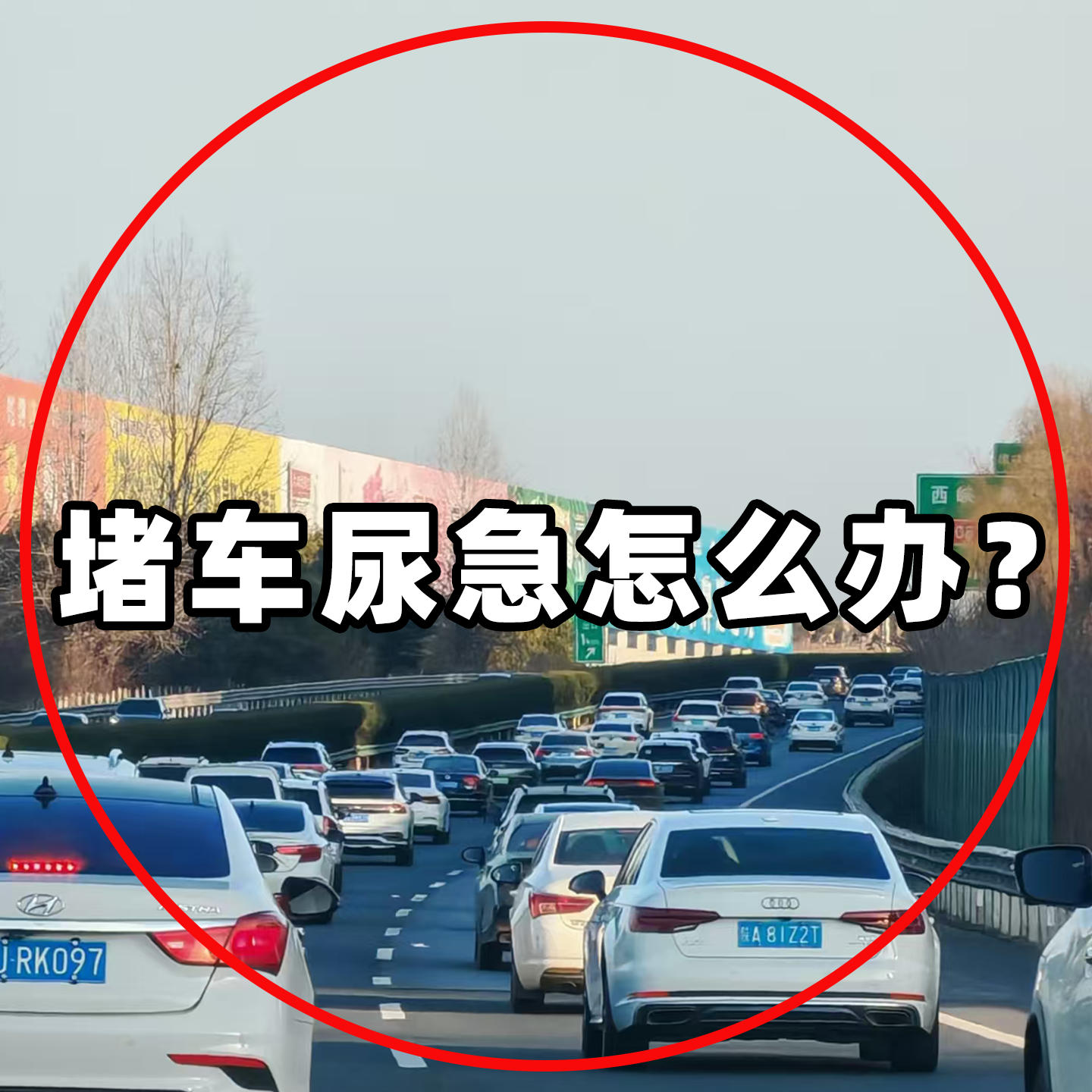 应急尿袋旅行神器必备用品长途旅游好物一次性小便神器呕吐袋4,家庭/个人清洁工具,呕吐袋,淘宝优惠券,粉丝福利购,淘宝优惠卷