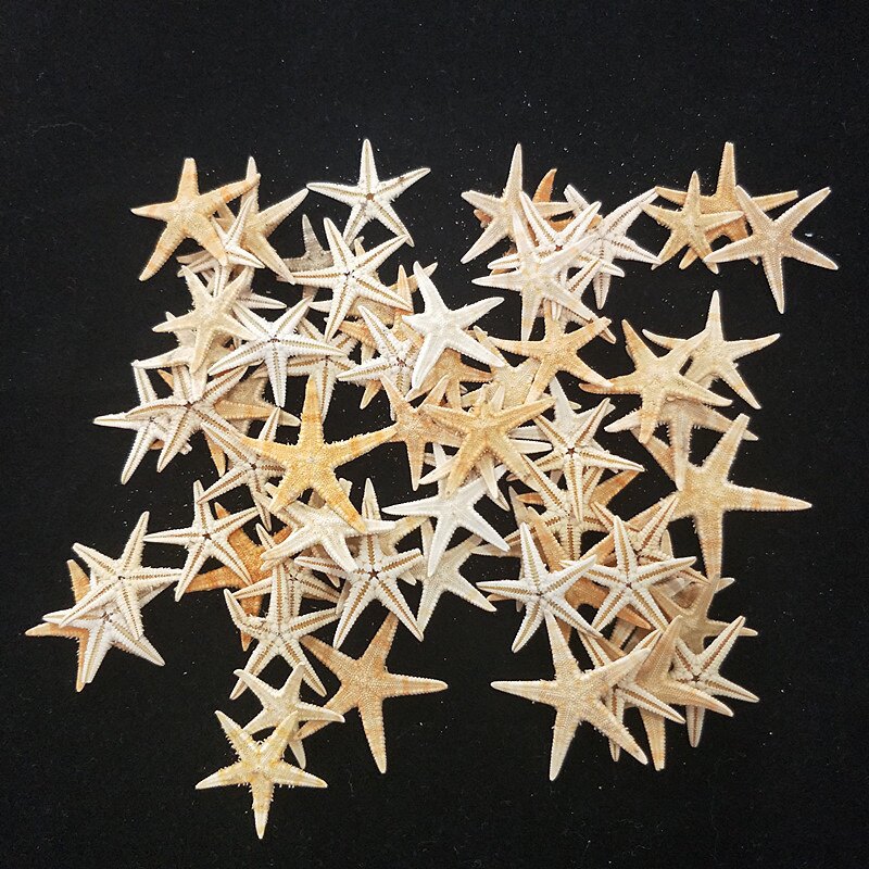 天然海星贝壳沙螺diy水晶滴胶