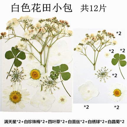 仙菲梦真花干花材料包压花组合植物标本杯垫书签手工diy制作手镯